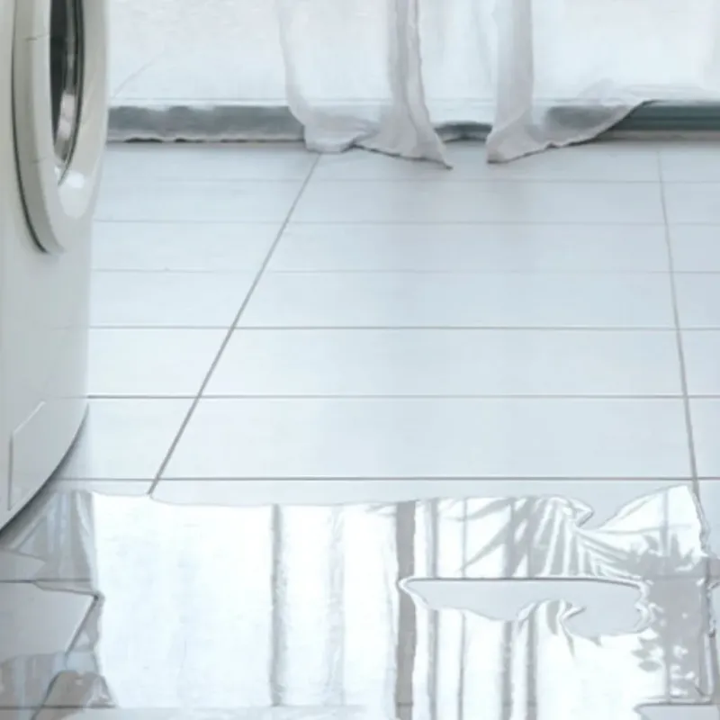 Appliance Leak Cleanup in Porterville, CA